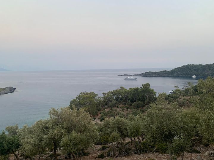 Yorum fotoğrafı 4