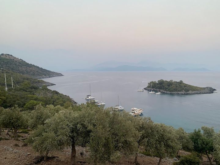 Yorum fotoğrafı 3