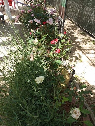 Fotoğraf 18