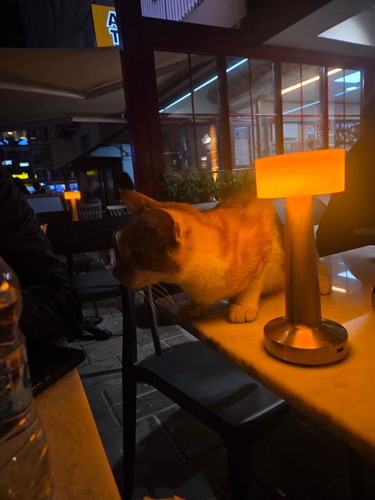 Yorum fotoğrafı 2