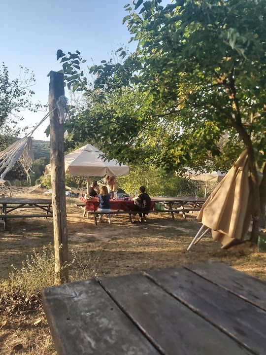 Fotoğraf 14