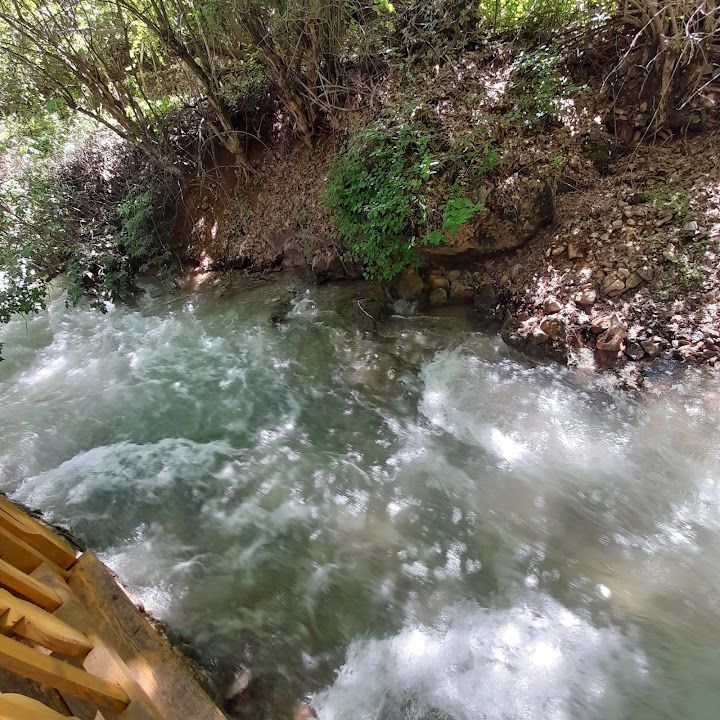 Yorum fotoğrafı 4