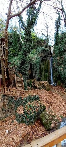 Yorum fotoğrafı 4