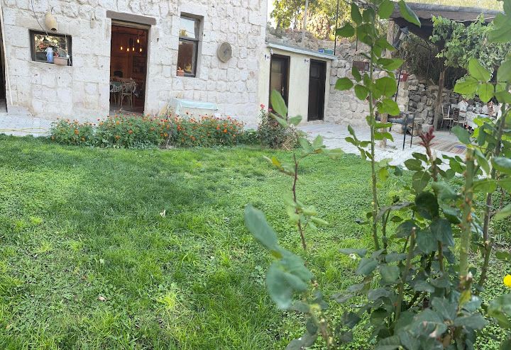 Yorum fotoğrafı 4