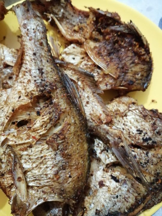 Fotoğraf 33