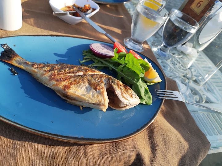 Fotoğraf 22