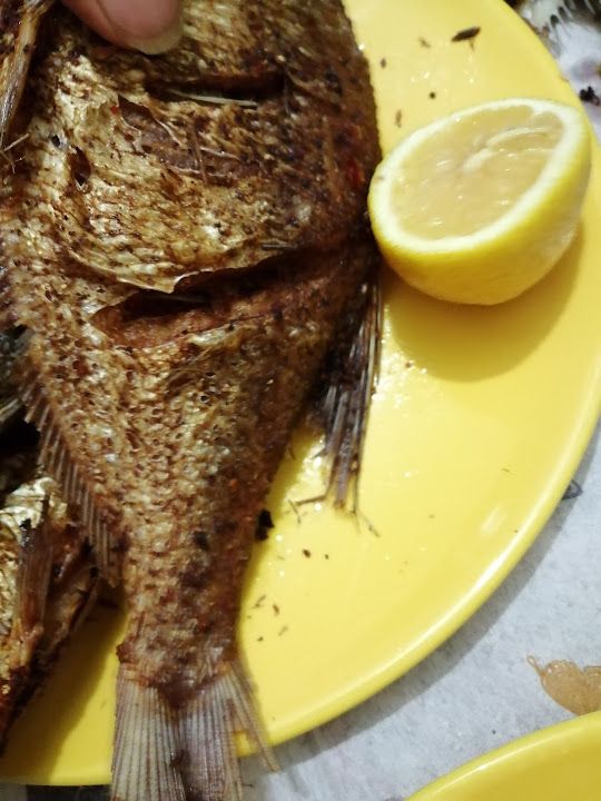 Fotoğraf 31