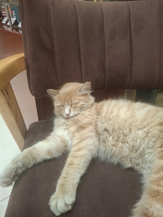 Yorum fotoğrafı 3