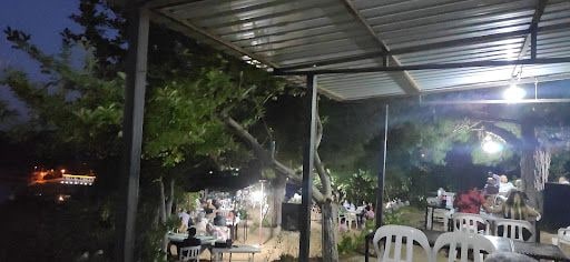 Fotoğraf 14
