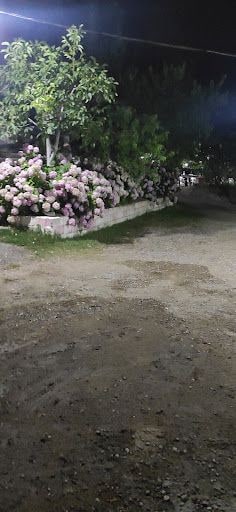 Fotoğraf 16