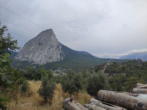 Yorum fotoğrafı 4