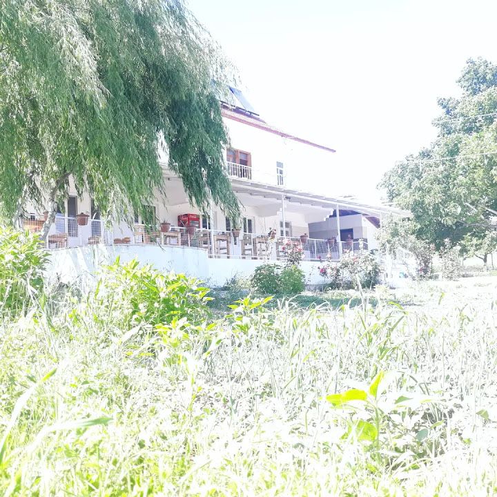 Fotoğraf 29