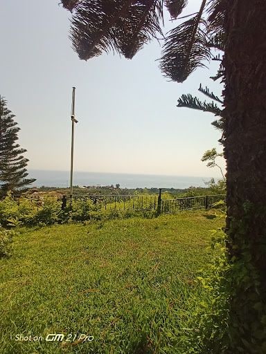 Yorum fotoğrafı 5