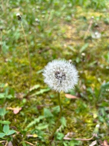 Yorum fotoğrafı 6