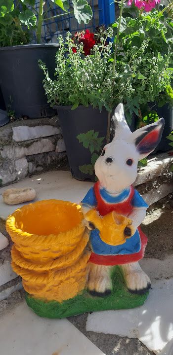 Fotoğraf 15