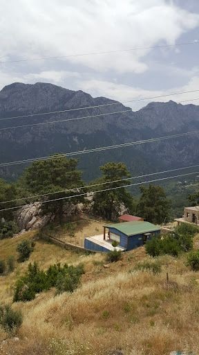 Yorum fotoğrafı 8