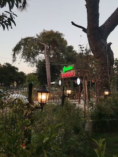 Yorum fotoğrafı 7