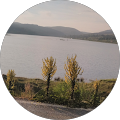Gül Gül
