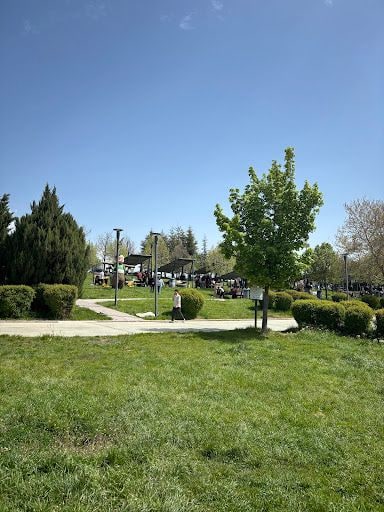 Yorum fotoğrafı 5