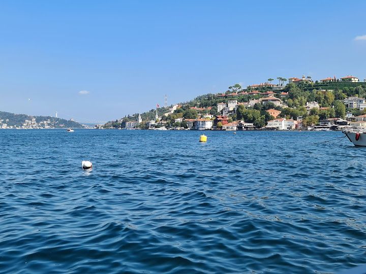 Yorum fotoğrafı 3