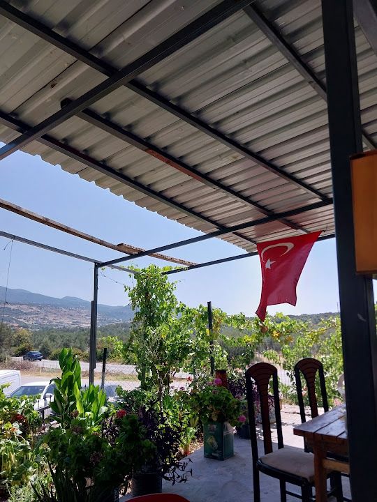 Yorum fotoğrafı 2