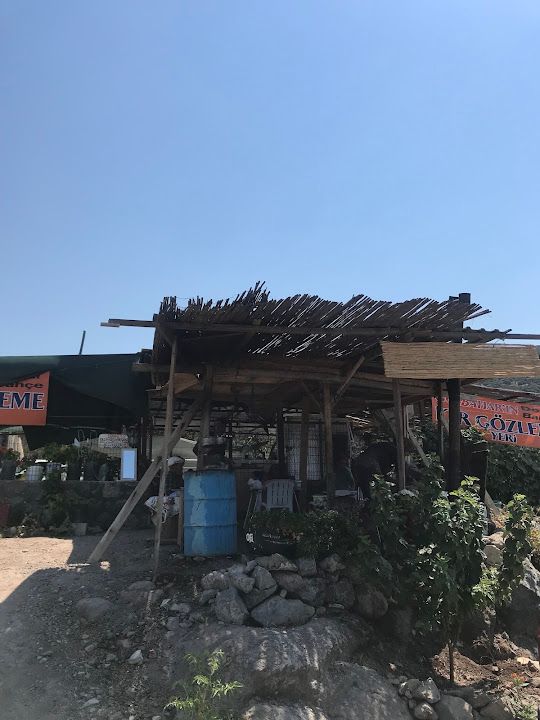 Fotoğraf 30