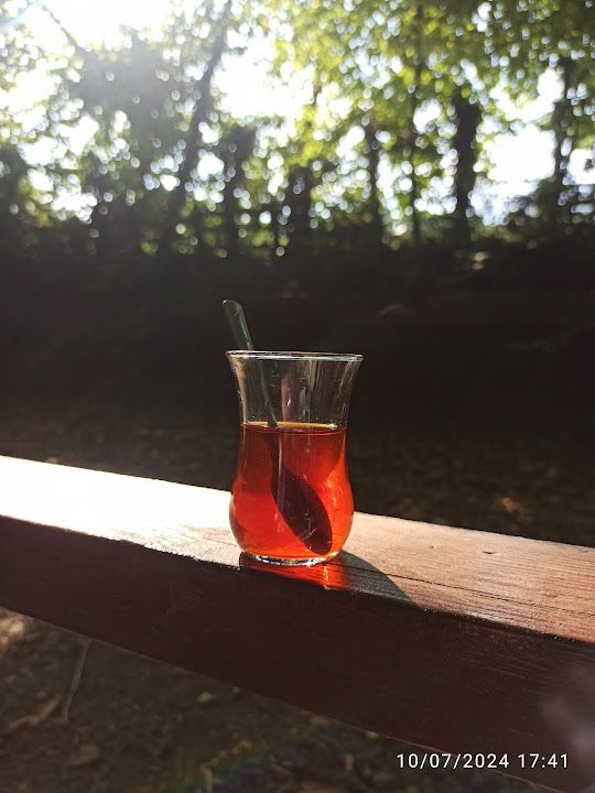 Fotoğraf 34