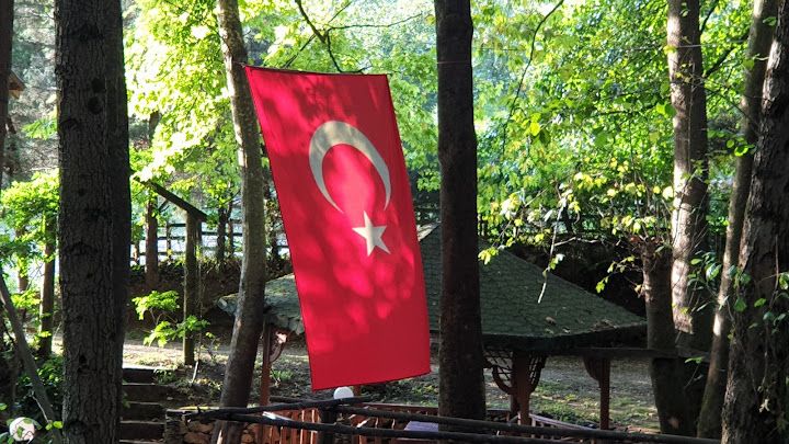 Fotoğraf 19