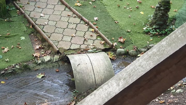 Fotoğraf 18
