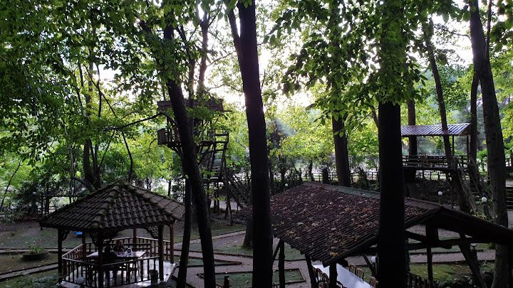 Fotoğraf 16