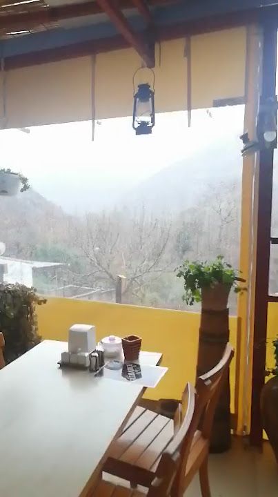 Fotoğraf 39