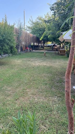 Yorum fotoğrafı 4