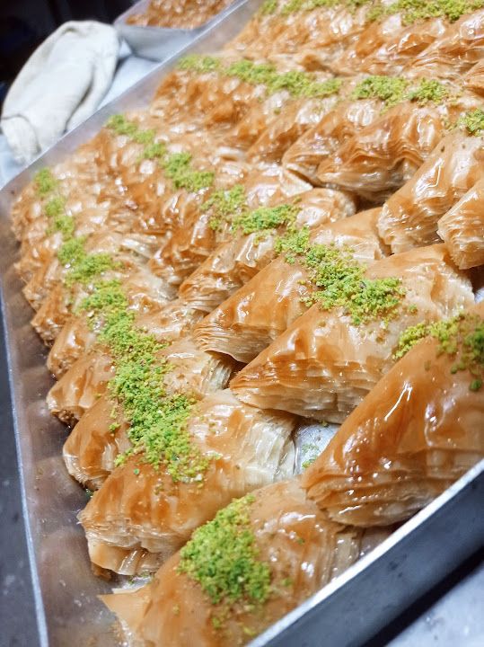 Fotoğraf 11