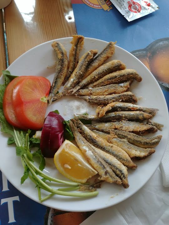 Fotoğraf 16