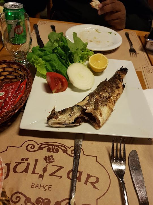 Fotoğraf 48