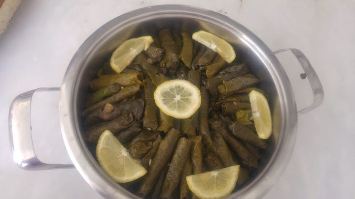Fotoğraf 16