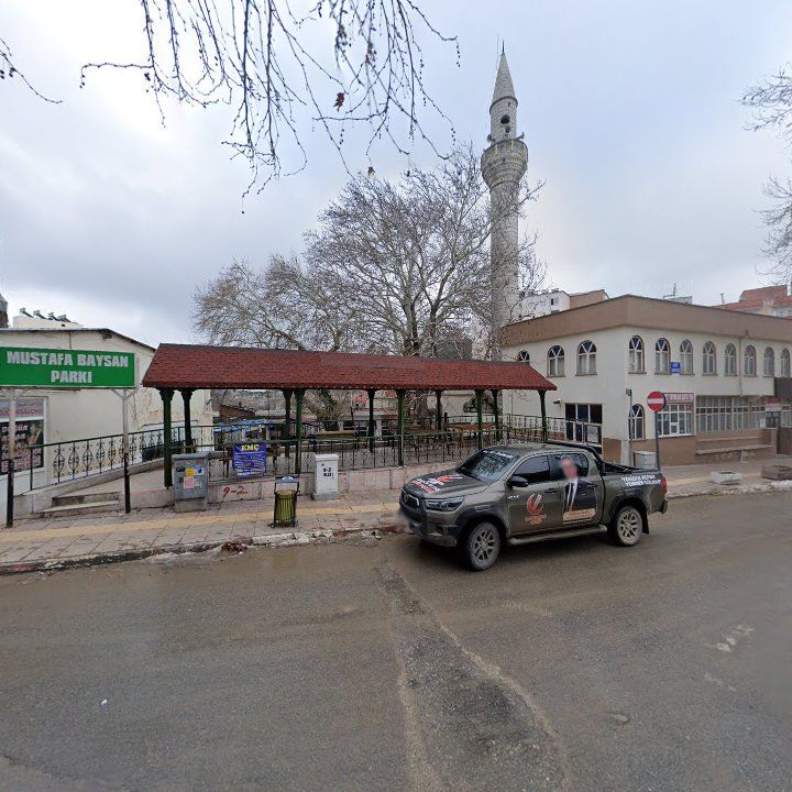 Fotoğraf 3