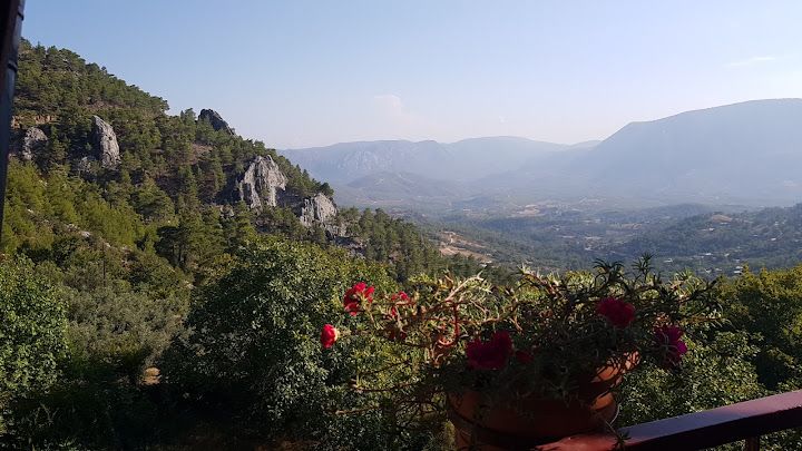 Yorum fotoğrafı 4