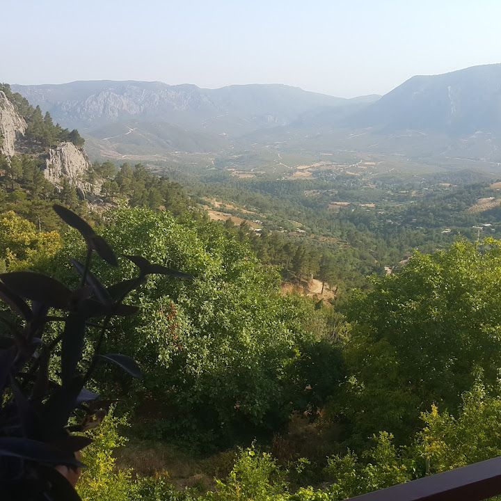 Yorum fotoğrafı 1
