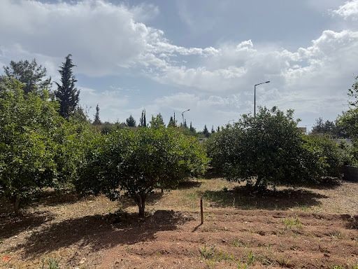 Yorum fotoğrafı 5