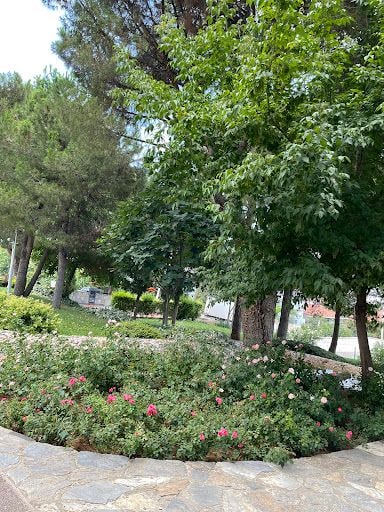 Fotoğraf 15