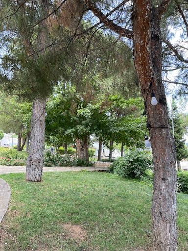 Fotoğraf 18