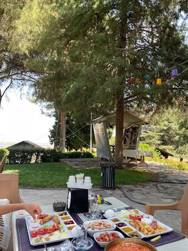 Fotoğraf 21