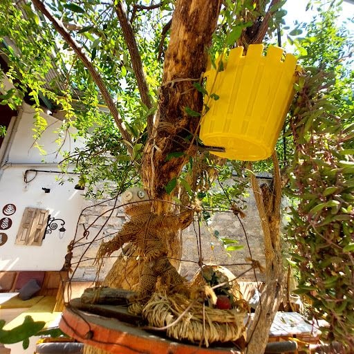 Fotoğraf 20