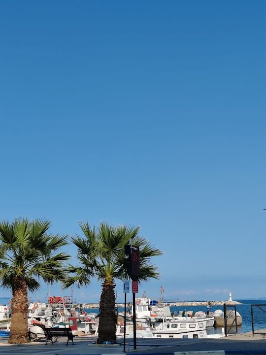 Yorum fotoğrafı 3