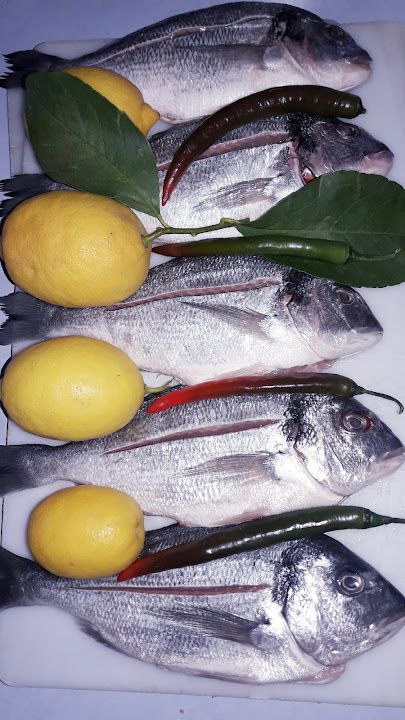 Fotoğraf 13