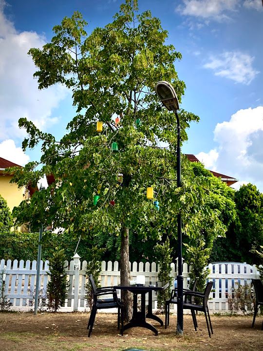 Fotoğraf 17