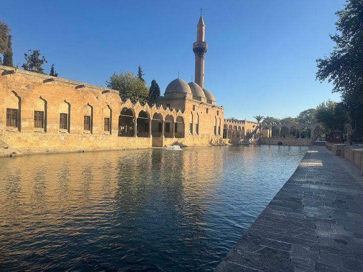 Fotoğraf 47