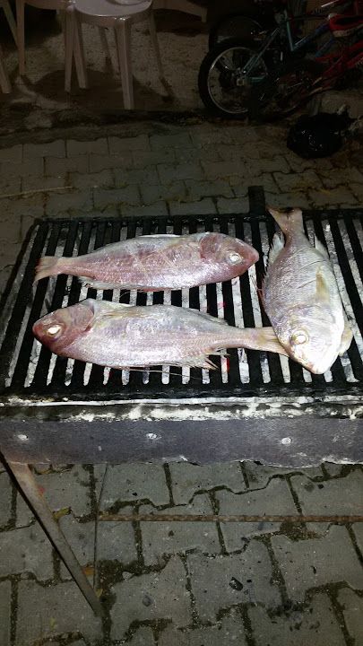 Fotoğraf 26