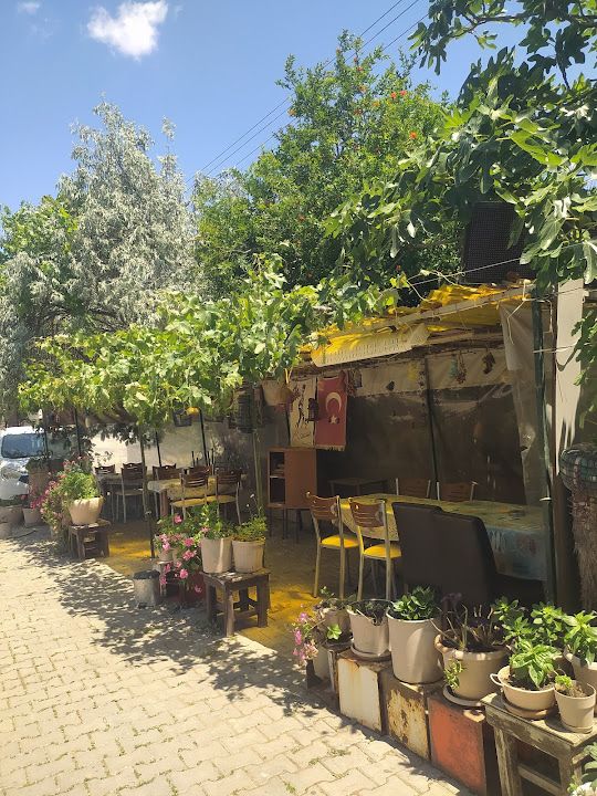 Fotoğraf 15